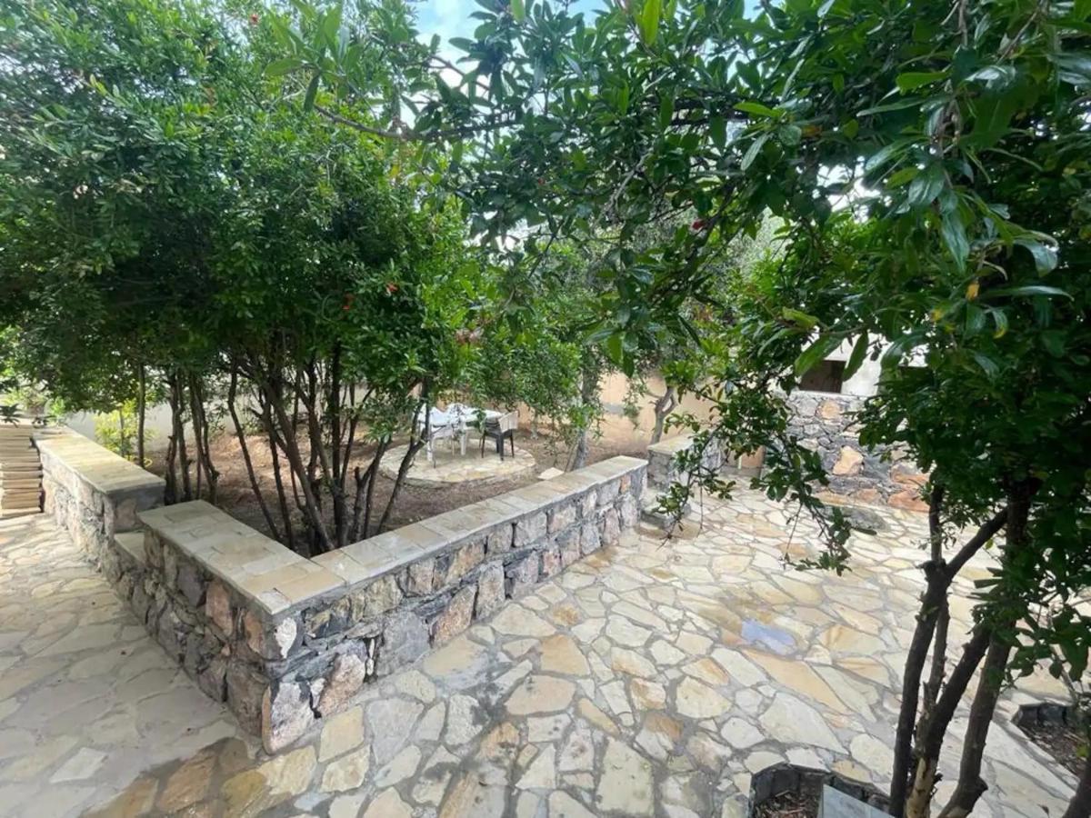 Rose Guesthouse Al 'Aqar Exterior foto
